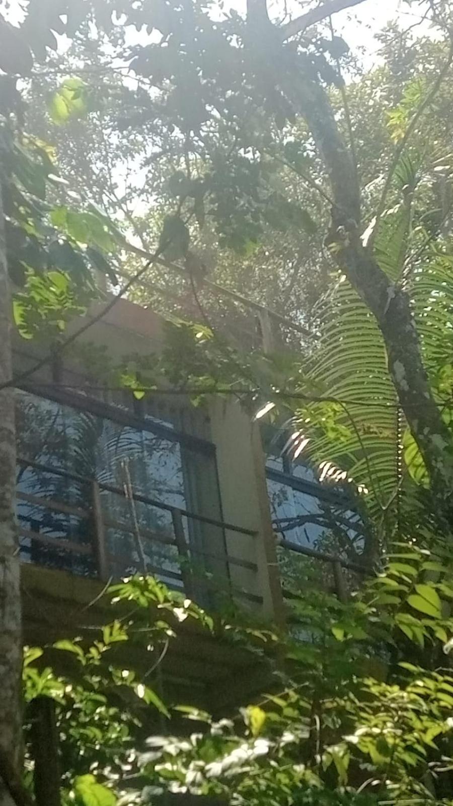 Altar Da Praia Vermelha 180° De Vista Para O Mar Ubatuba Exterior foto